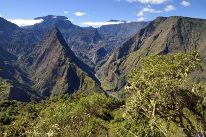 France, Reunion island (French overseas department), Reunion National Park listed as World heritage by UNESCO, La Possession, around village of Dos d'Ane, Roche Bouteille hike by the Cap Noir trail, Piton Cabris left in the Cirque de Mafate