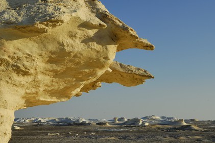 Egypt, Libyan Desert, the White Desert North of Farafra