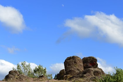 France, Morbihan (56), forêt de Brocéliande, Tréhorenteuc, la lande du Val sans retour