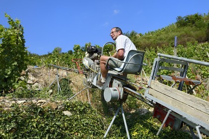 France, Rhone, Parc Naturel Regional du Pilat (Natural Regional Park of Pilat), Ampuis, Cote Rotie AOC vineyards from the Gilles Barge domain, rack and pinion monorail unique in France for the grape harvest on these extremely steep land