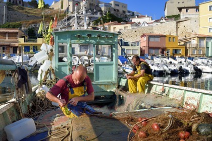 France, Bouches-du-Rhône (13), Marseille, quartier d'Endoume, le Vallon des Auffes, retour de pêche de Lucien Jativa et trie du poisson