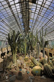 France, Paris (75),  Jardin des Serres d'Auteuil, serre des plantes succulentes
