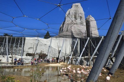 France, Paris (75), Le Parc zoologique de Paris (Zoo de Vincennes), flamands roses (Phoenicopterus roseus) dans la grande volière et en arrière plan le Grand Rocher qui est l’emblème du zoo depuis 1934
