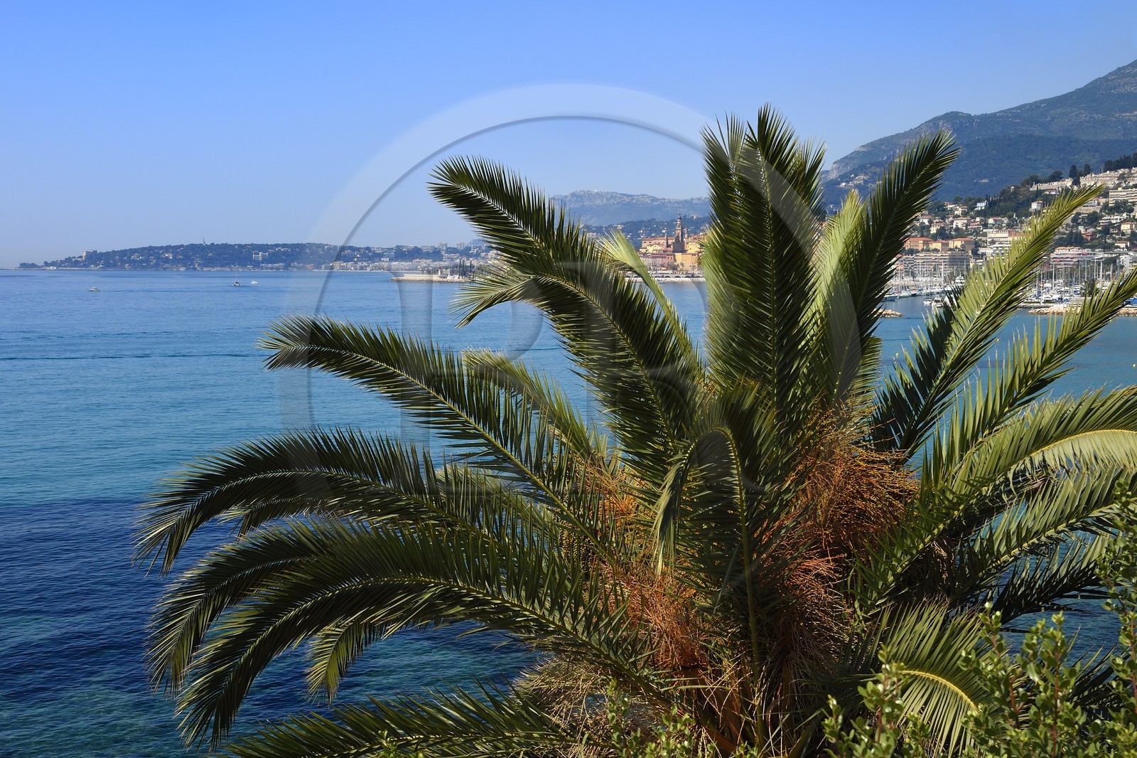 France, Alpes-Maritimes (06), Menton depuis le jardin de Maria Serena dans le quartier de Garavan