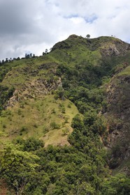 Sri Lanka, Province d'Uva, Ella, Petit Pic d'Adam (Little Adam's Peak)