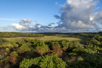 France, French Guiana, Kourou, wetlands, forests and savannas protected within the space centre and managed by the National Forestry Office (ONF) (aerial view)