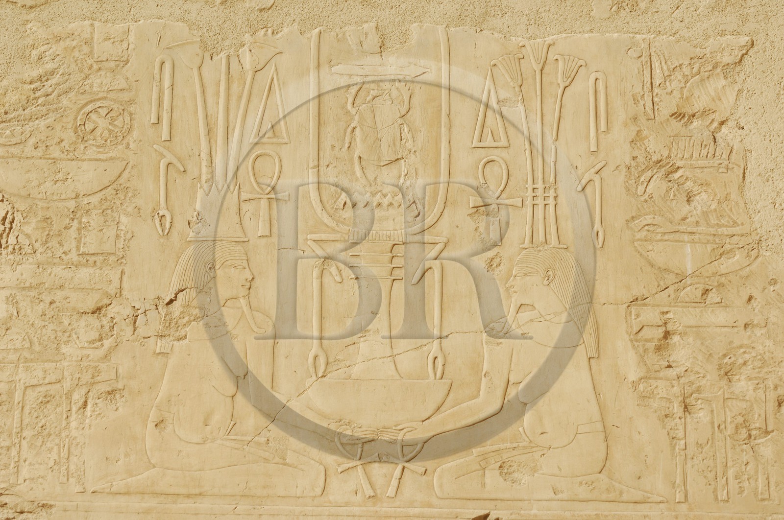 Egypte, Haute Egypte, vallée du Nil, environs de Louxor, nécropole thébaine classée Patrimoine Mondial de l'UNESCO, Thèbes Ouest, Deir el Bahari, temple d'Hatchepsout