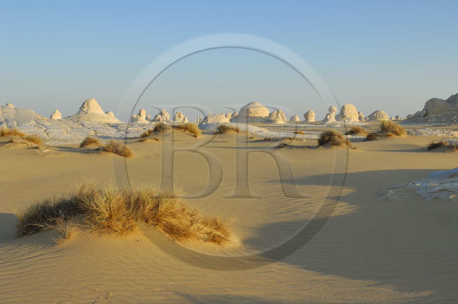 Egypte, désert libyque, le Désert Blanc au nord de Farafra Egypte, désert libyque, le Désert Blanc au nord de Farafra