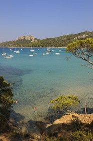 France, Var (83), Iles d'Hyères, parc national de Port-Cros, île de Porquerolles, la Plage Notre Dame