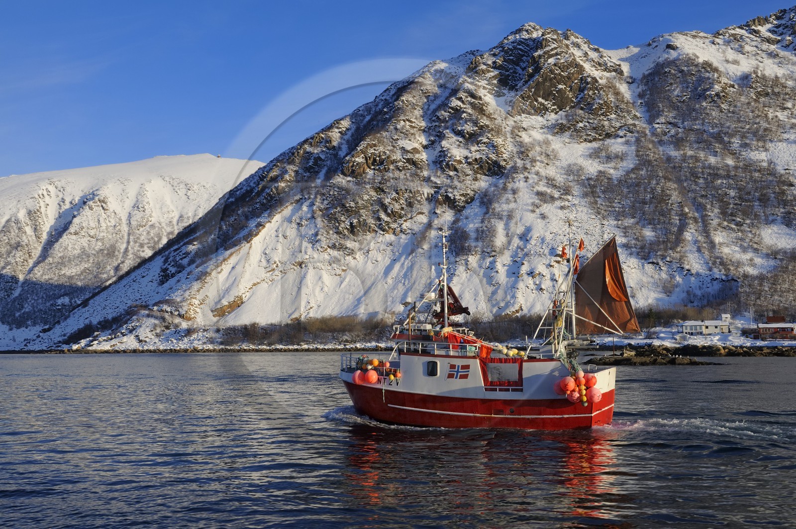 Norvège, Nordland, iles des Westeralen, région de Myre, bateau de pêche du cabillaud skrei