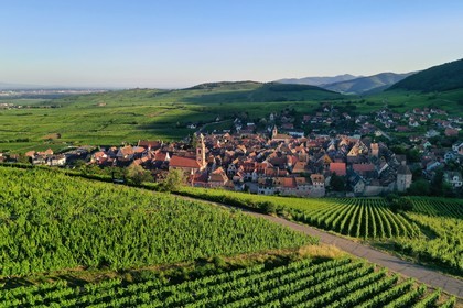 France, Haut-Rhin (68), Route des vins d'Alsace, Riquewihr, labellis