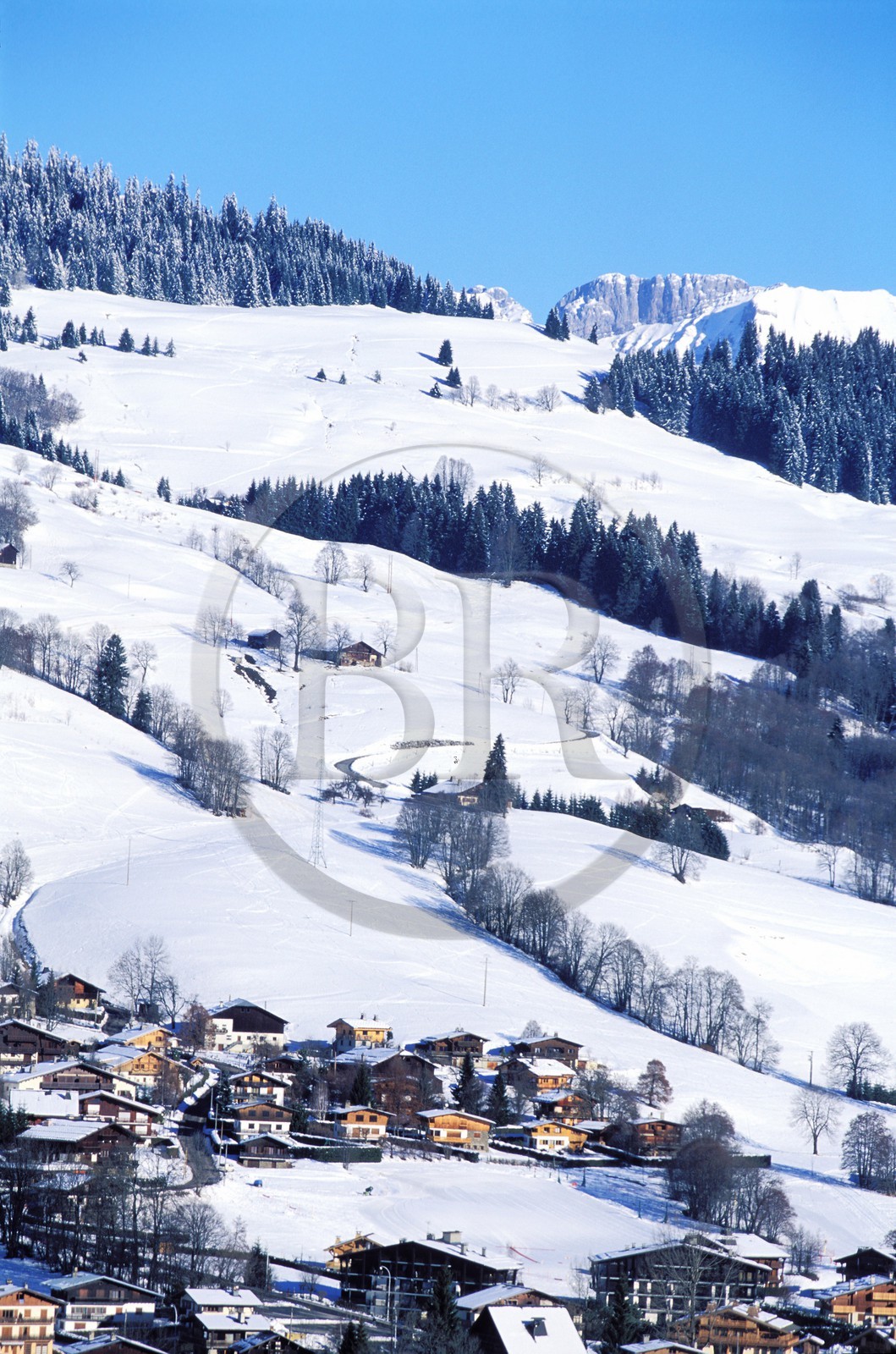 France, Haute-Savoie (74), chalets sur les pentes du Jaillet face à Megève