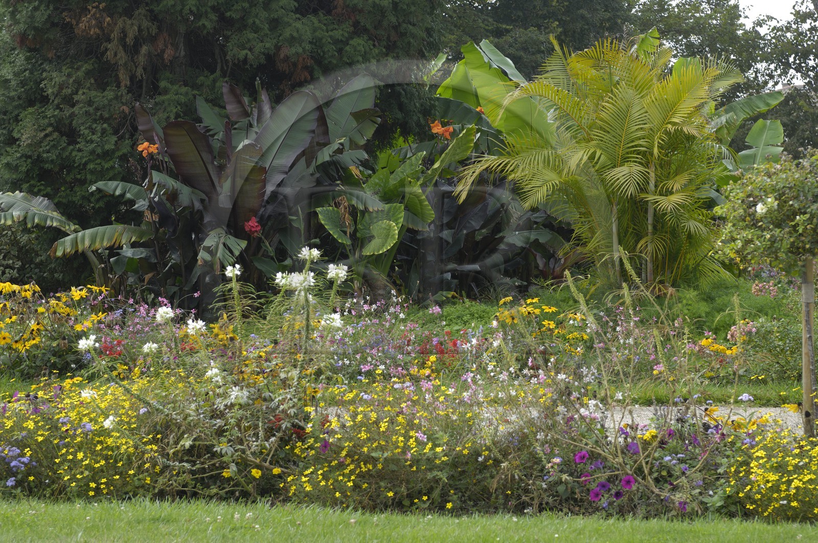 France, Charente-Maritime (17), Rochefort, le quartier de l'Arsenal, le jardin des retours