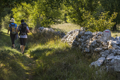 France, Hérault (34), les Causses et les Cévennes, paysage culturel de l'agro-pastoralisme méditerranéen inscrit au Patrimoine Mondial de l'UNESCO, Saint-Maurice-Navacelles, randonneurs sur le GR 7 sur des sentiers longeant des murs de pierres sèches