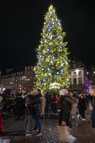 France, Bas-Rhin (67), Strasbourg, vieille ville classée au Patrimoine Mondial de l’UNESCO, le Grand Sapin de Noël de la place Kléber