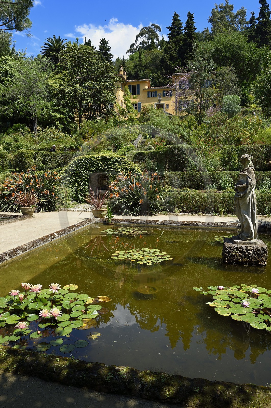 France, Alpes-Maritimes (06), Menton, jardin Serre de la Madone et la villa du major Lawrence Johnston
