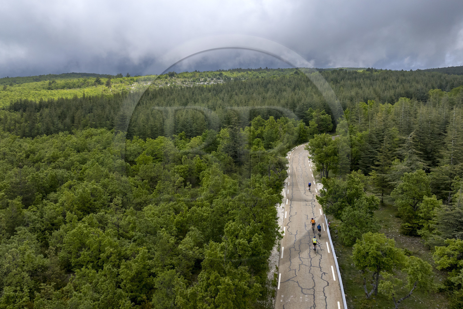 France, Vaucluse, Parc Naturel Regional du Mont Ventoux, Bedoin, bike ascent of Mont Ventoux by the D974 road on the southern slope, road through a thick oak forest and hooked pins (aerial view)