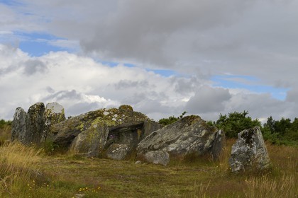 France, Ille-et-Vilaine, Saint-Just, megalithic monuments of the Lande de Cojoux, dolmen, burial with side entrance of Four Sarrazin