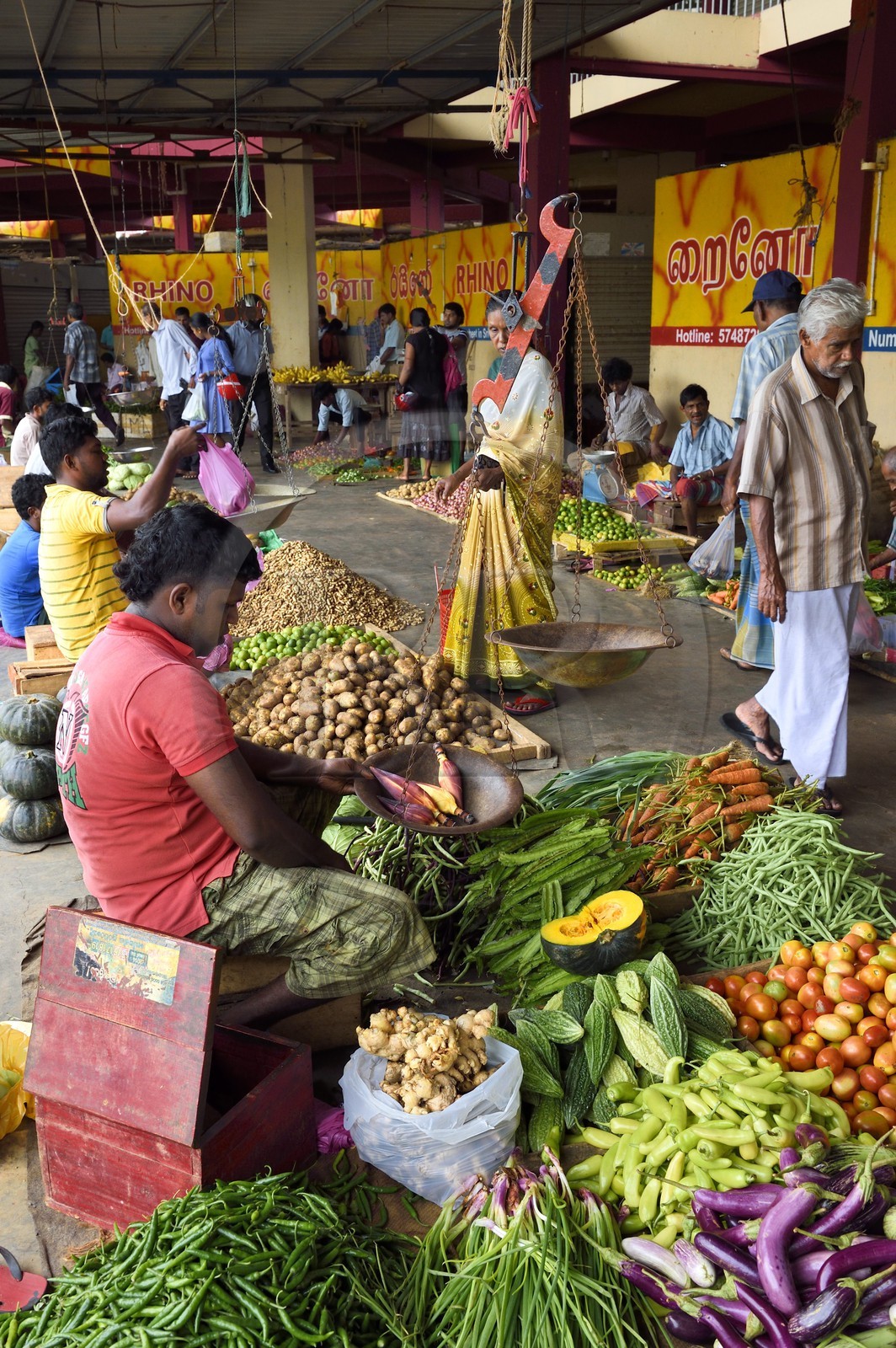 Sri Lanka, province de l'Est, Trincomalee, le marché couvert, vente de légumes