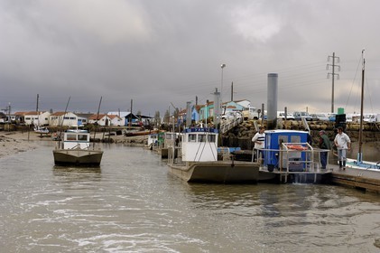 France, Charente-Maritime (17), Ile d'Oléron, le chenal d'Ors, chaland à huîtres dans le port ostréicole