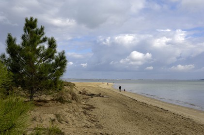 France, Charente-Maritime (17), Ile d'Oléron