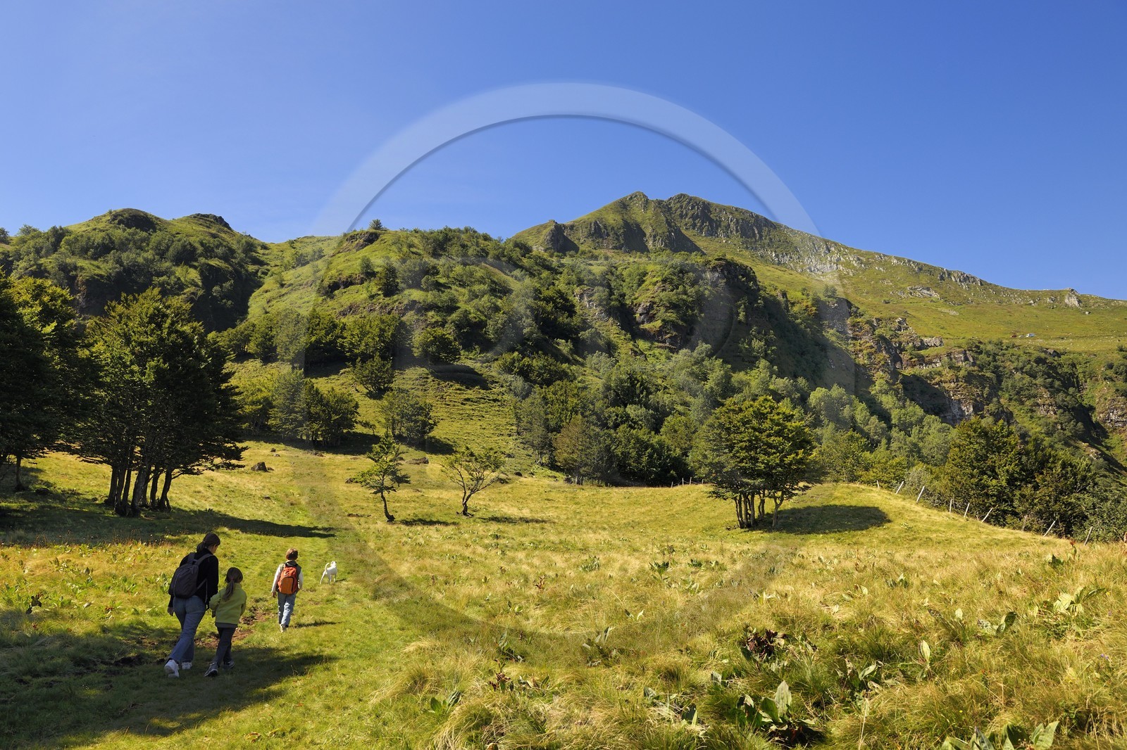 France, Cantal (15), monts du Cantal, Parc Naturel Régional des Volcans d' Auvergne, randonnée au pied de la montagne du Puy-Mary (1783m)