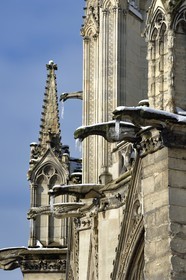 France, Paris, area listed as World Heritage by UNESCO, the banks of the Seine, classified World Heritage by UNESCO, the Notre-Dame Cathedral under the snow on the Ile de la Cité, gargoyles