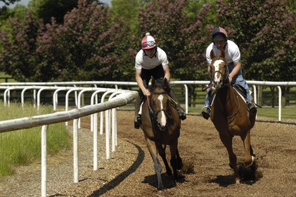 Republic of Ireland, County Kildare, Maynooth, Moyglare Stud, horse training