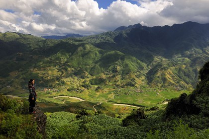 Vietnam, province de Lao Cai, région de Sapa, jeune femme de la minorité Hmong Noir surplombant sa vallée de Hau Thao