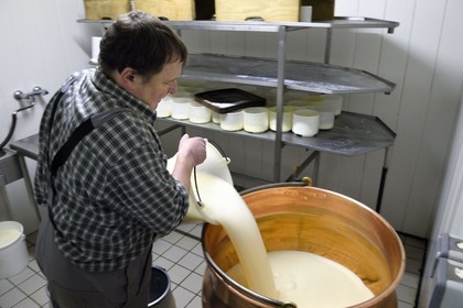 France, Haut Rhin, Wasserbourg, Ferme-auberge (farm-inn) Buchwald, marcaire Michel Wehrey in the production of munster AOP cheese (cow's milk) in a copper cauldron