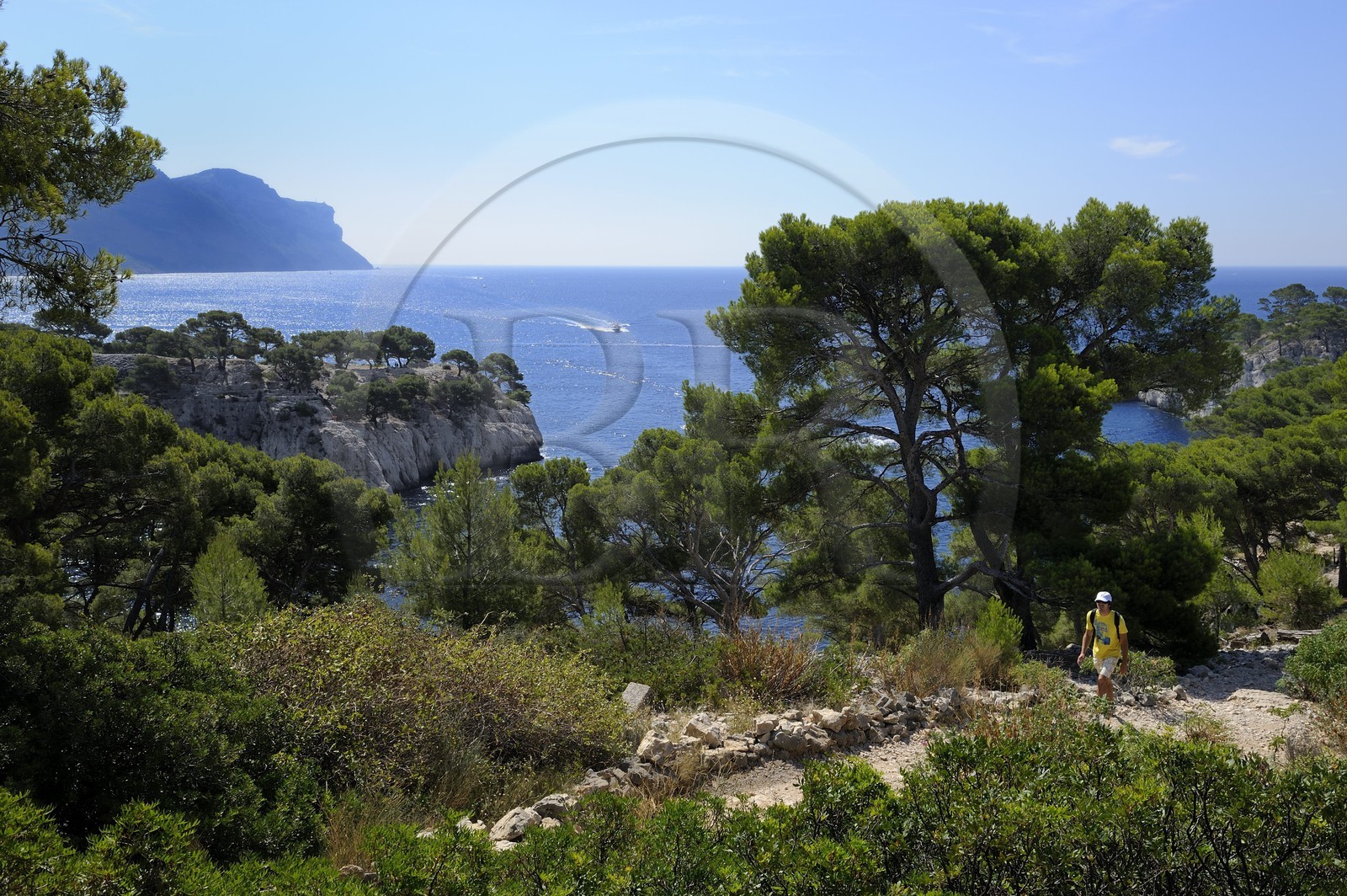 France, Bouches-du-Rhône (13), Cassis, presqu'île de Port Miou et les falaises du Cap Canaille en arrière plan France, Bouches-du-Rhône (13), Cassis, presqu'île de Port Miou et les falaises du Cap Canaille en arrière plan