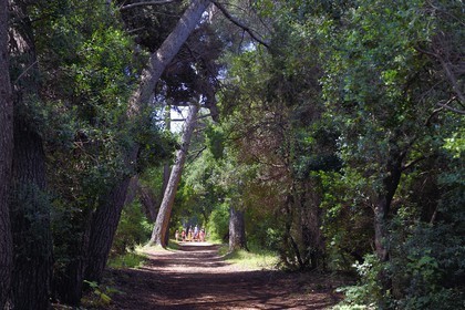 France, Alpes-Maritimes (06), Cannes, Iles de Lérins, Ile Sainte-Marguerite