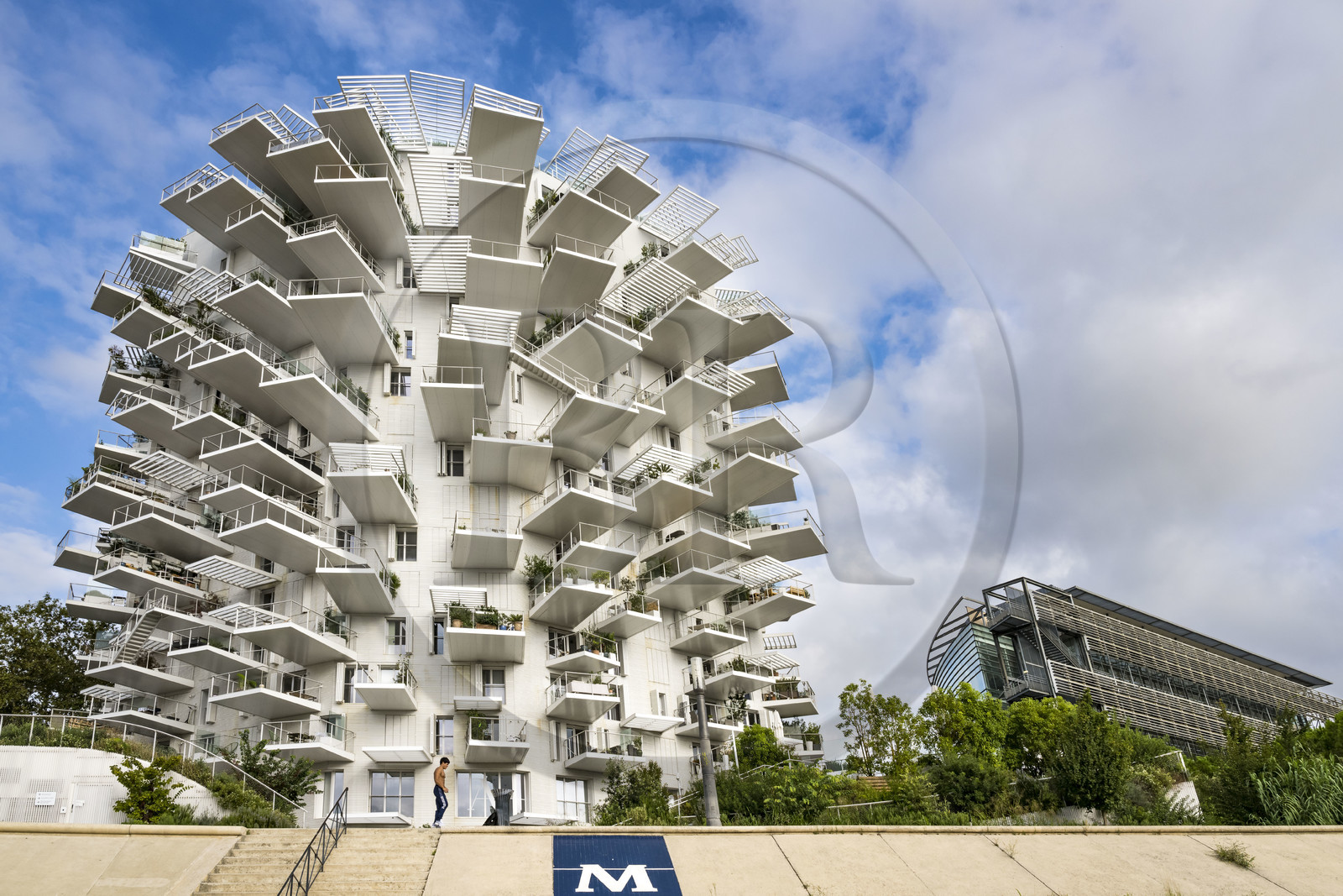 France, Hérault (34), Montpellier, quartier Richter, les rives du Lez, l'immeuble L'Arbre Blanc, réalisé par l'architecte japonais Sou Foujimoto avec les architectes français Nicolas Laisné et Manal Rachdi