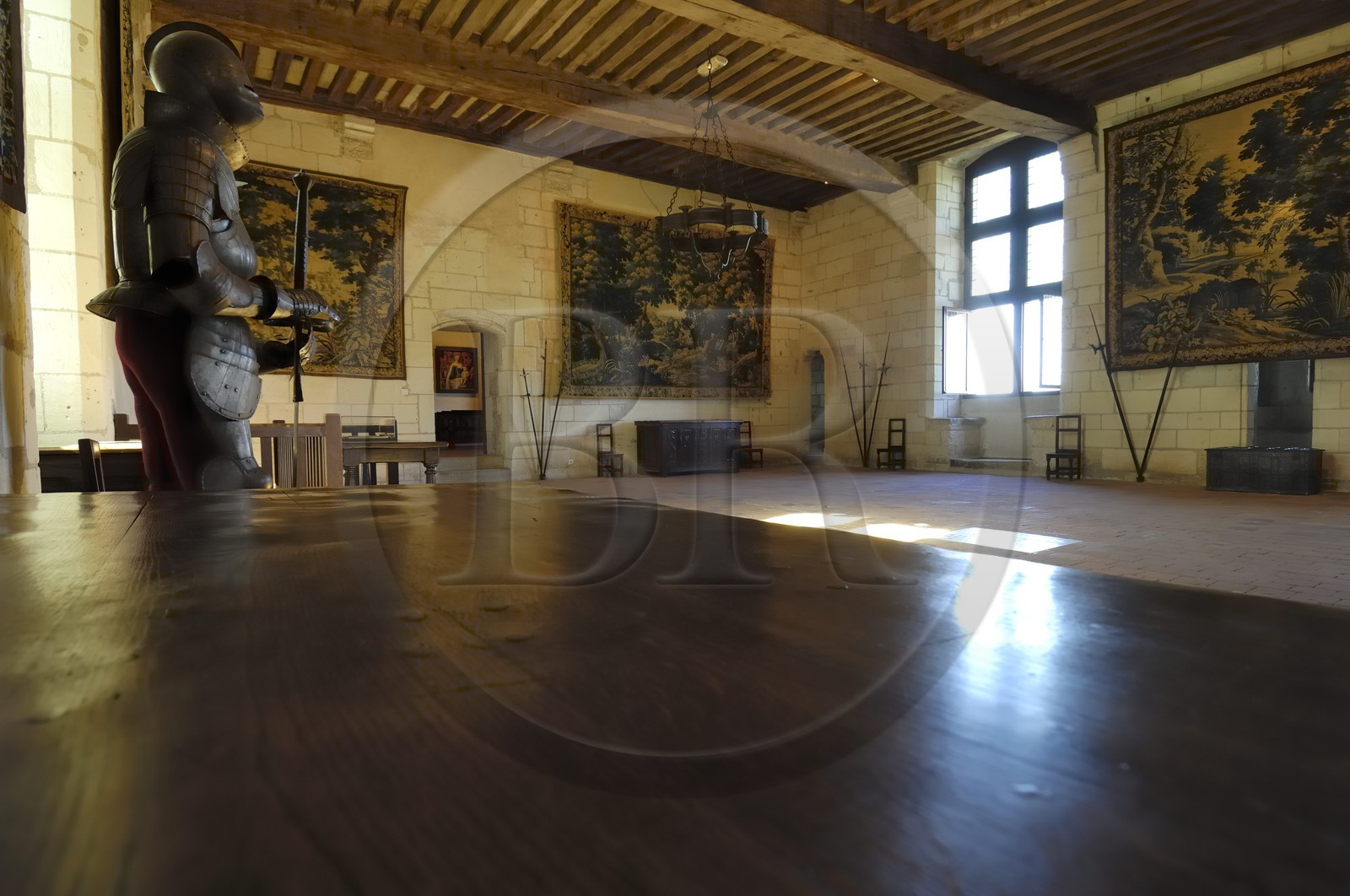 France, Indre-et-Loire (37), Loches, le chateau, salle du Logis Royal