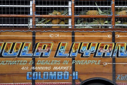 Sri Lanka, province de l'ouest, district de Colombo, Colombo, le marché de fruits et légumes Manning dans le quartier de Pettah