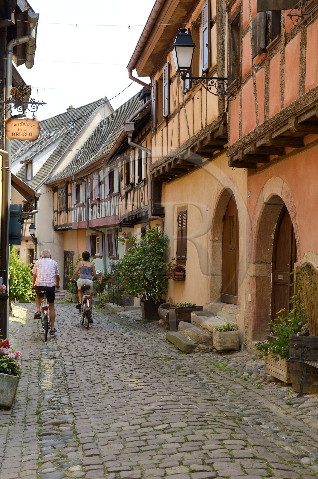 France, Haut-Rhin (68), Eguisheim, labellisé Les Plus Beaux Villages de France, maisons traditionnelles à pans de bois dans la rue du Rempart Sud