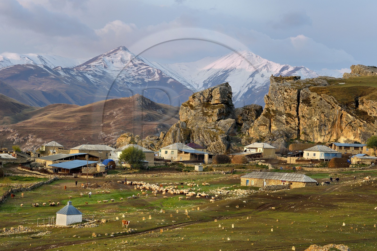 Azerbaïdjan, région de Quba (Guba), chaine de montagne du Grand Caucase, village de Giriz à l'aube, départ des moutons pour les prés