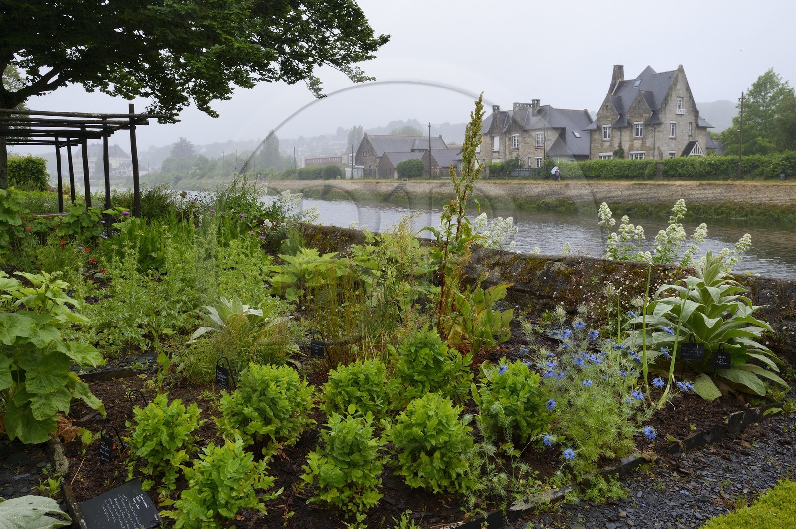 France, Finistère (29), Quimper, quartier de Locmaria, jardin de plantes médicinales et aromatiques