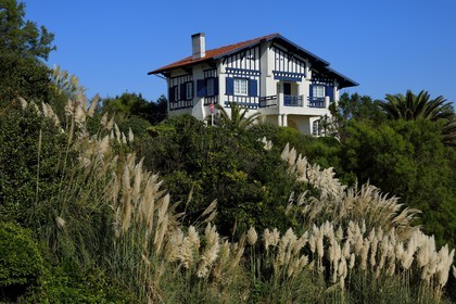 France, Pyrenees Atlantiques, Basque Country coast, Bidart, traditional neobasque style house, in the foreground of pampas grass (Cortaderia selloana)