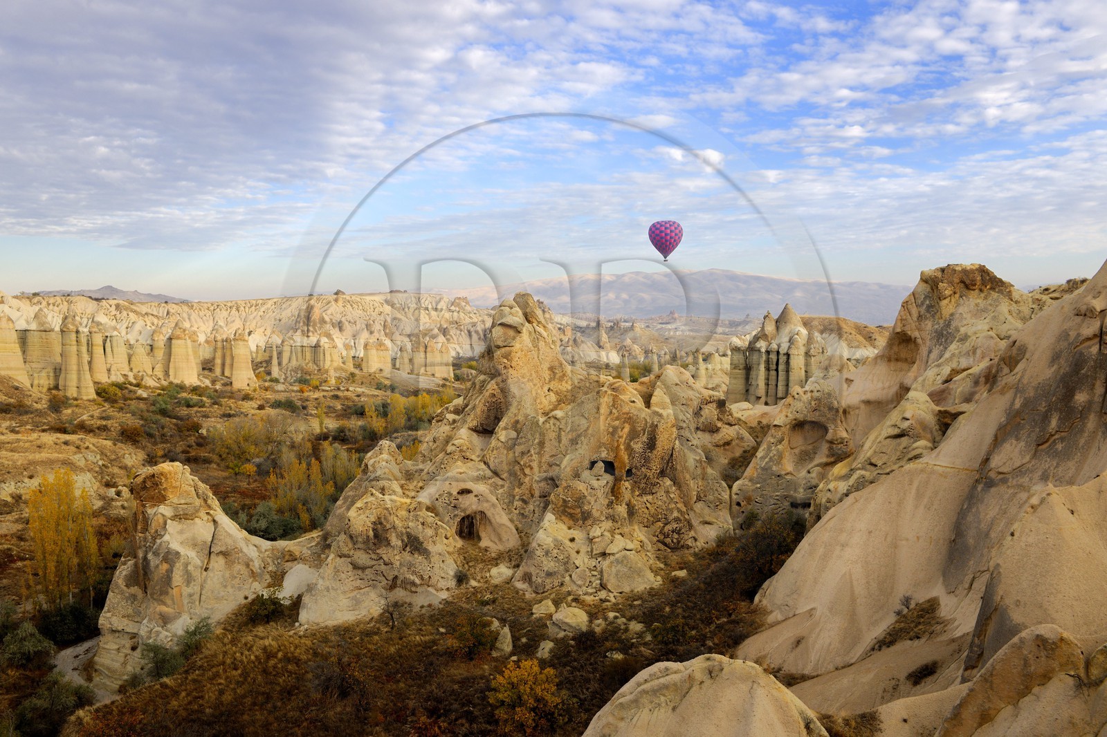 Turkey, Central Anatolia, Nevsehir Province, Cappadocia listed as World Heritage by UNESCO, near Uchisar, Love Valley, eroded landscape and fairy chimneys (aerial view)