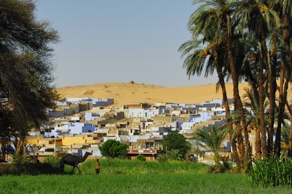 Egypte, Haute Egypte, Nubie, vallée du Nil, Assouan, la rive ouest, village nubien à l'orée du désert