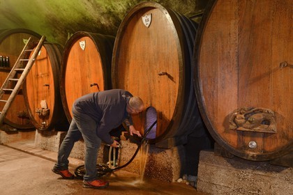 France, Bas Rhin, the Alsace Wine Route, Mittelbergheim, labelled Les Plus Beaux Villages de France (The Most Beautiful Villages of France), Domaine Wittmann wine cellar, a large wine barrel cleaning