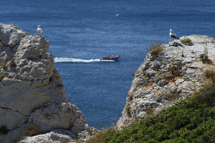 France, Bouches-du-Rhône (13), Marseille, Parc National des Calanques, Archipel des Iles du Frioul, Ile de Pomègues