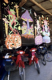 Thailand, Samui islands archipelago, Full Moon Party on Koh Pha-Ngan island, motorbike rental in Had Rin and paintings of hallucinogenic mushrooms