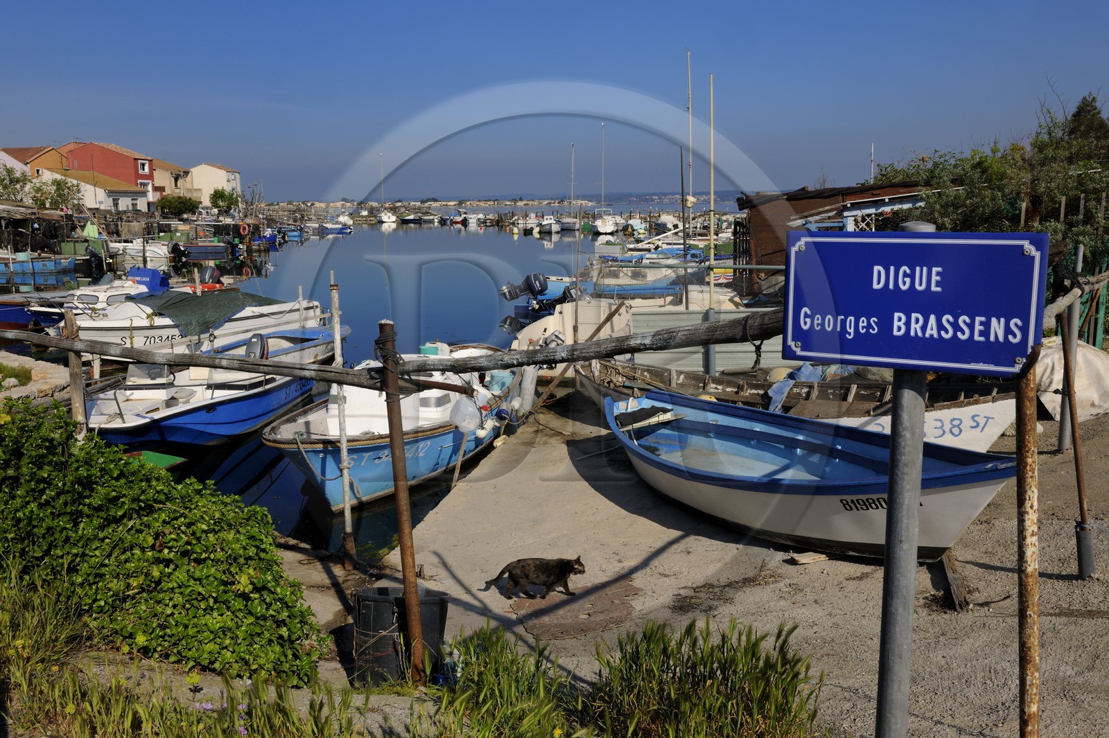 France, Hérault (34), Sète, quartier de la Pointe Courte, village de pêcheurs donnant sur l'étang de Thau, le quai Georges Brassens et le petit port