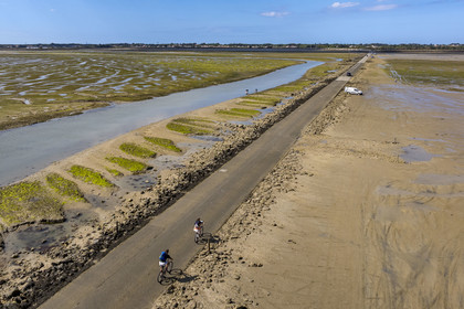 France, Vendée (85), île de Noirmoutier, Barbatre, cyclistes sur le passage du Gois, chaussée submersible qui relie l'île au continent à marrée basse (vue aérienne)