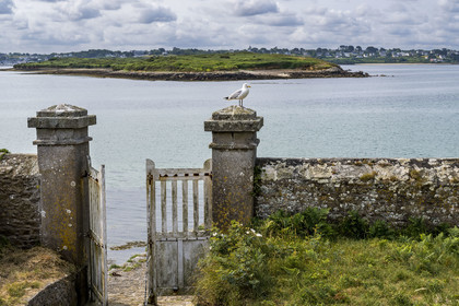 France, Finistère (29), Pays des Abers, estuaire de l'Aber Wrac'h, phare de l'Ile Wrac'h et les petites Iles Vrac'h en arrière plan (vue aérienne)