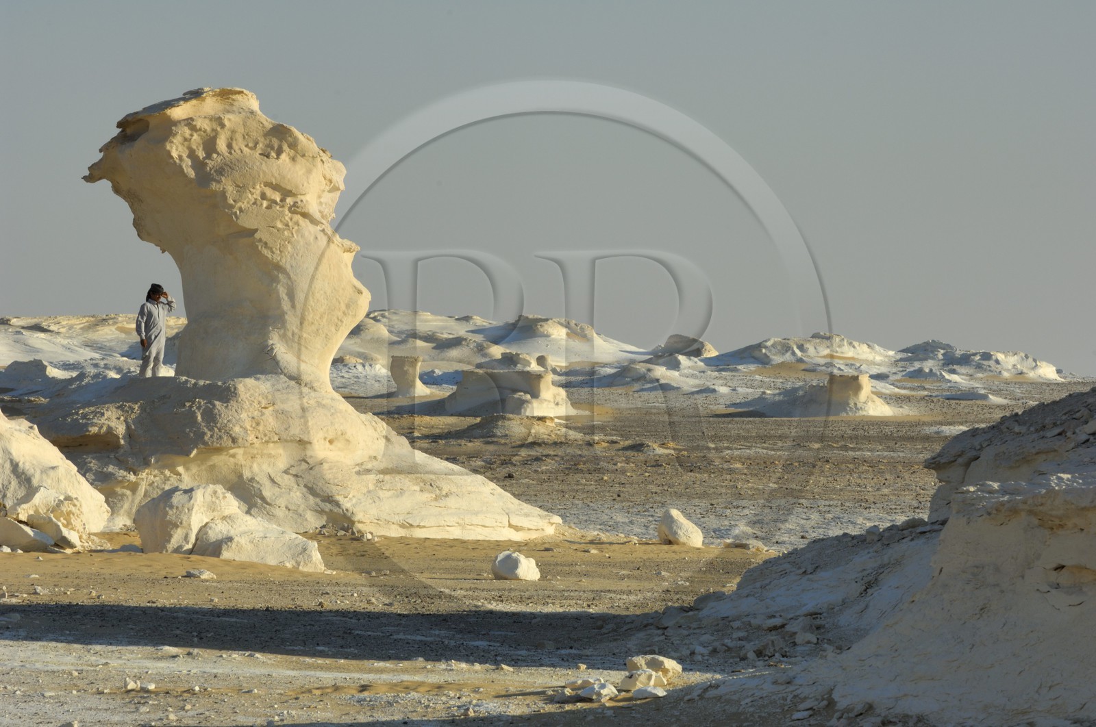 Egypte, désert libyque, le Désert Blanc au nord de Farafra Egypte, désert libyque, le Désert Blanc au nord de Farafra