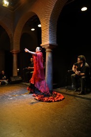 Espagne, Andalousie, Séville, quartier de Santa Cruz, musée de la dance flamenco