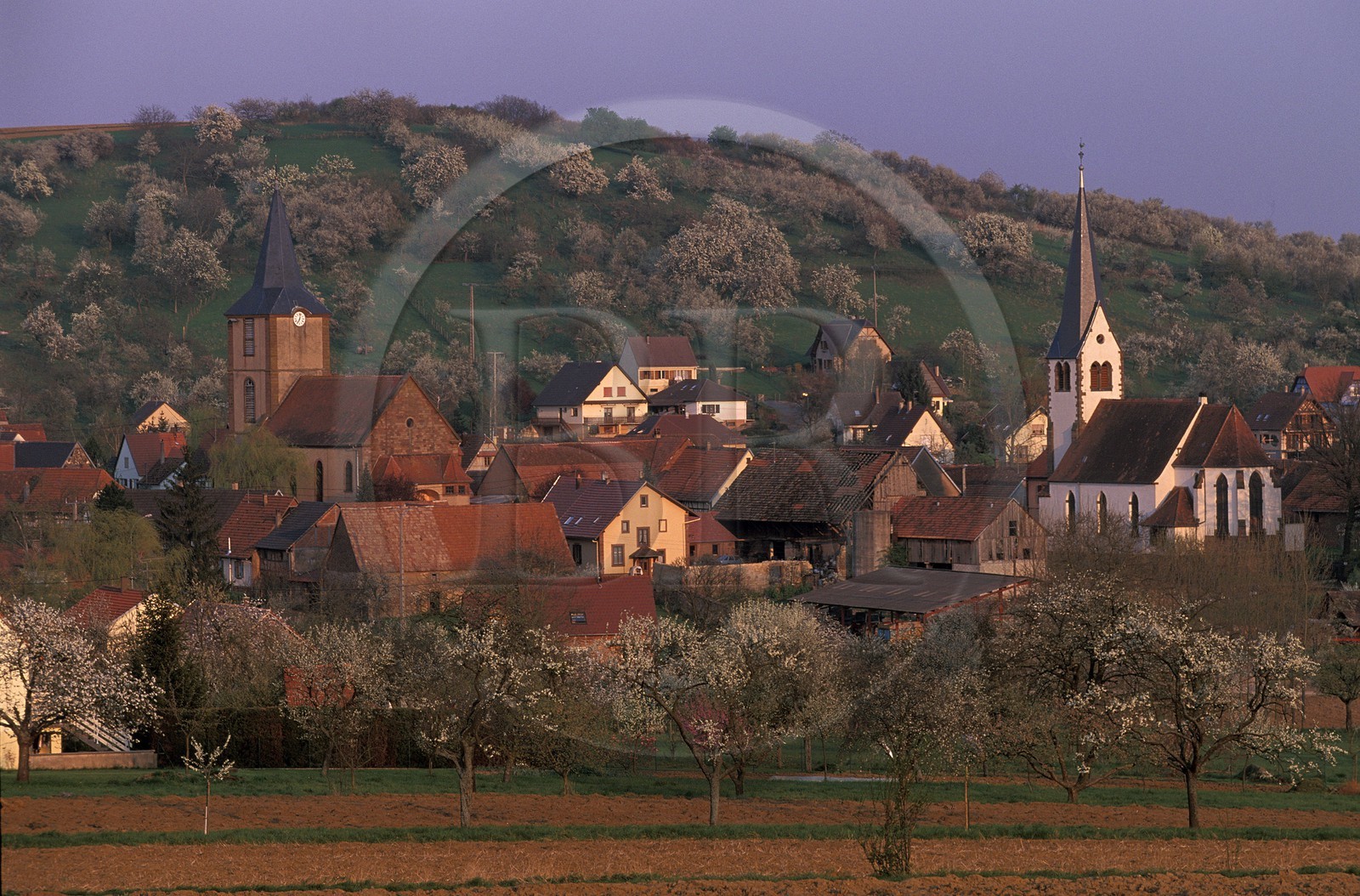 France, Bas-Rhin (67), Kirrwiller, l'église catholique côte à côte avec le temple protestant